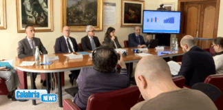 Bankitalia, in Calabria nei primi 6 mesi dell’anno economia in crescita moderata