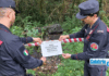 Carabinieri Catanzaro: nuovi interventi per serrato contrasto ai reati ambientali