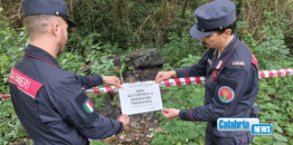 Carabinieri Catanzaro: nuovi interventi per serrato contrasto ai reati ambientali