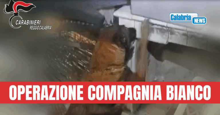 Il fiuto di “Manco” porta i Carabinieri a scoprire grande quantità di stupefacenti
