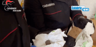 VIDEO-Reggio, pizzicato in casa con 150 dosi di cocaina, hashish e marijuana