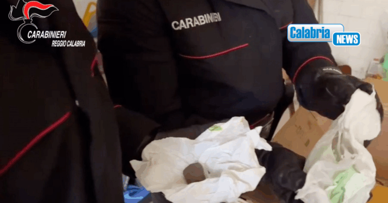 VIDEO-Reggio, pizzicato in casa con 150 dosi di cocaina, hashish e marijuana
