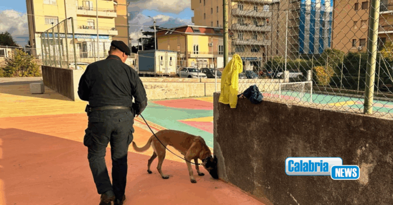 Catanzaro, il fiuto del cane antidroga Batik scova hashish nascosta nel parco “Mater Domini”