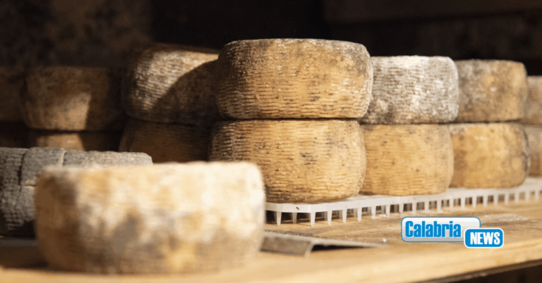 I caprini d’Aspromonte diventano Presidio Slow Food