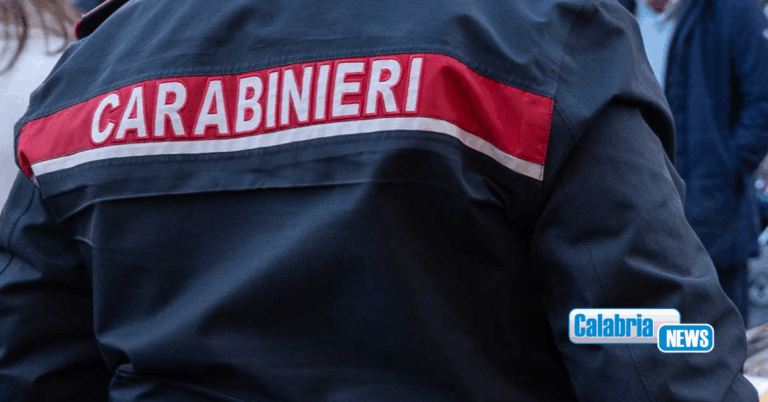 Isola Capo Rizzuto, confiscato un magazzino ad uso commerciale ad affiliato cosche