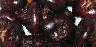 Castagne d’acqua, lo snack che protegge fegato e cervello: cosa sono e come si mangiano