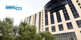 Regione, oltre 142mln per gli agricoltori: terminato il pagamento degli anticipi 2025