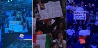 Da “San Sinner” a “Sindaco di Torino”, è Jannik-mania alle Atp Finals. E in tribuna spunta… una volpe