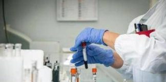 Epatite A, crescono i casi: sesso e alimenti, come si prende e sintomi