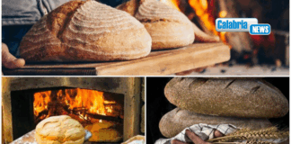 VIDEO-Altomonte fino a domenica celebra la XIX edizione della Gran Festa del Pane