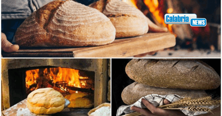 VIDEO-Altomonte fino a domenica celebra la XIX edizione della Gran Festa del Pane