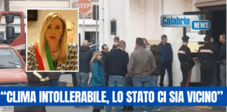 Goia Tauro, dopo la molotov al Comune il sindaco scrive al ministro Piantedosi