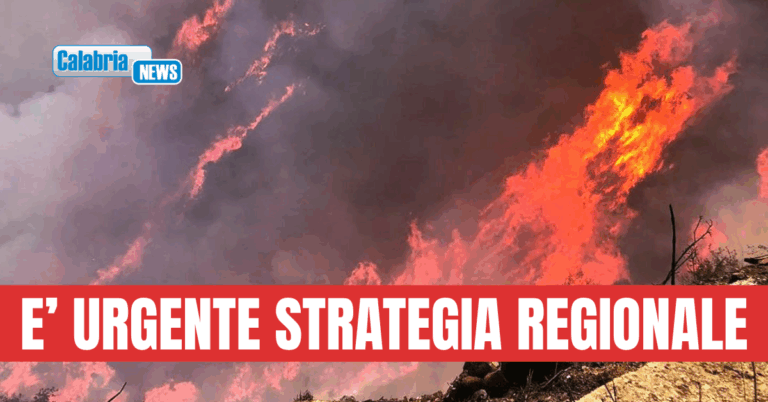 Incendi in Calabria, Legambiente: Una ferita aperta per le nostre montagne