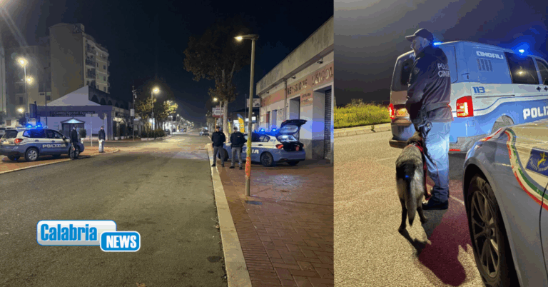 Crotone, operazione antidroga Polizia con raffica di controlli: arrestata una persona