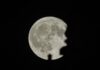 La Superluna del Castoro illumina il cielo: sarà la più grande e luminosa degli ultimi 6 anni