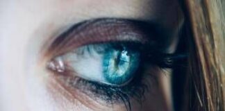 La dieta aiuta anche gli occhi, i cibi per proteggere la vista