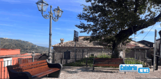 Montepaone illumina l’ultimo ‘Albero della Libertà d’Italia’ piantato nel 1799