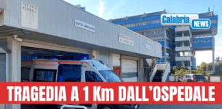 Lamezia, muore tra le braccia del figlio: ambulanza senza medico da Falerna dopo 30 minuti