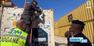 VIDEO-Nuovo maxi-sequestro di cocaina (oltre 175 Kg) al Porto di Gioia Tauro