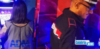 VIDEO-Cosenza, maxisequestro da 12Mln a un imprenditore del settore delle slot machine