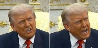 Trump, risposte di fuoco alle giornaliste su Epstein tra “zitta maialina” e “sei pessima”