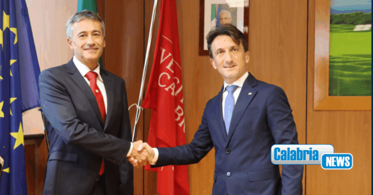 Università della Calabria, il rettore Gianluigi Greco nomina Stefano Curcio prorettore vicario