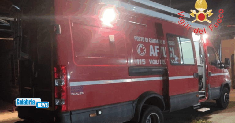Si perde nei boschi della Presila Catanzarese mentre cerca funghi: 70enne ritrovata in buone condizioni