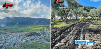 Strongoli, controlli ai frantoi oleari: tre imprenditori denunciati dai Carabinieri