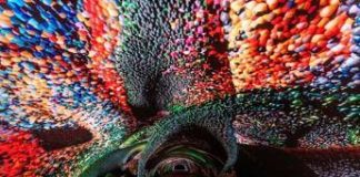 A Gorizia i dati diventano poesia, Anadol firma il progetto digitale più grande d’Europa