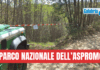 Operazioni dei Carabinieri contro tagli boschivi irregolari e furto di materiale legnoso