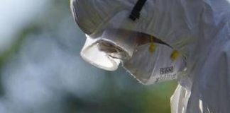 Aviaria, l’allarme dell’Ecdc: “In Europa più rischi per l’uomo”, cosa sta succedendo