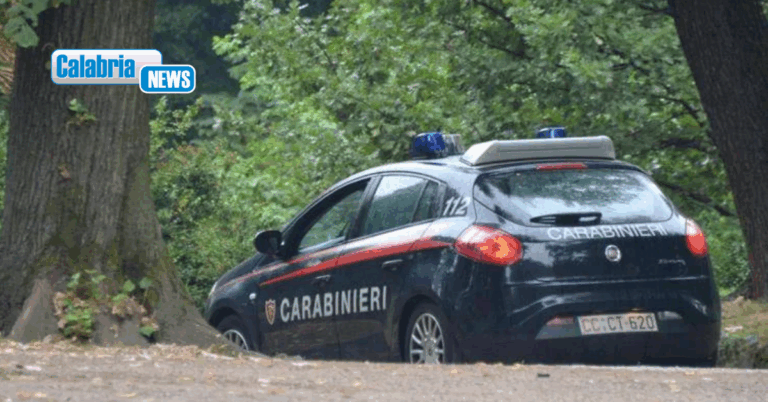 Tentano furto in una villetta nel Reggino e una volta scoperti provano a fuggire: due arresti