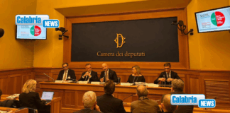 Contratto medici e dirigenti sanitari, Anaoo-Assomed: in Calabria 4 Asp “diffidate”