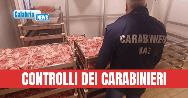 Mercati ed esercizi commerciali, sequestrati nel catanzarese oltre 150 kg di alimenti irregolari