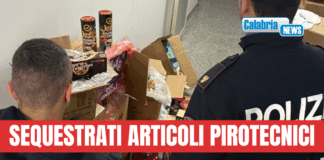 Crotone, operazione interforze “Focus ‘Ndrangheta: un arresto e due denunce