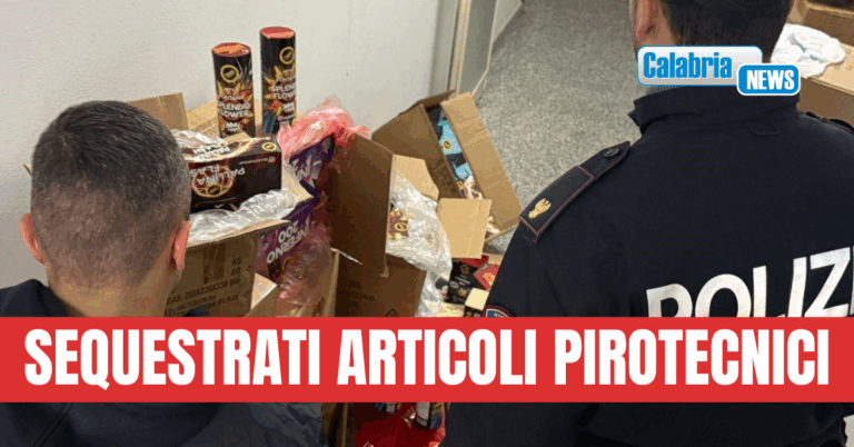 Crotone, operazione interforze “Focus ‘Ndrangheta: un arresto e due denunce