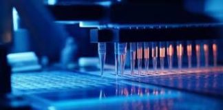 Demenza frontotemporale Grn mutata, Besta Milano in studio su terapia genica