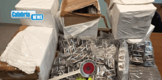 Percorre mezza Europa in autocarro con 93 Kg di hashish: arrestato dalla Polstrada a Lamezia