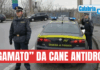 Lamezia, imprenditore 43enne ai domiciliari: in auto con 1,2 Kg di cocaina