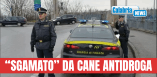 Lamezia, imprenditore 43enne ai domiciliari: in auto con 1,2 Kg di cocaina