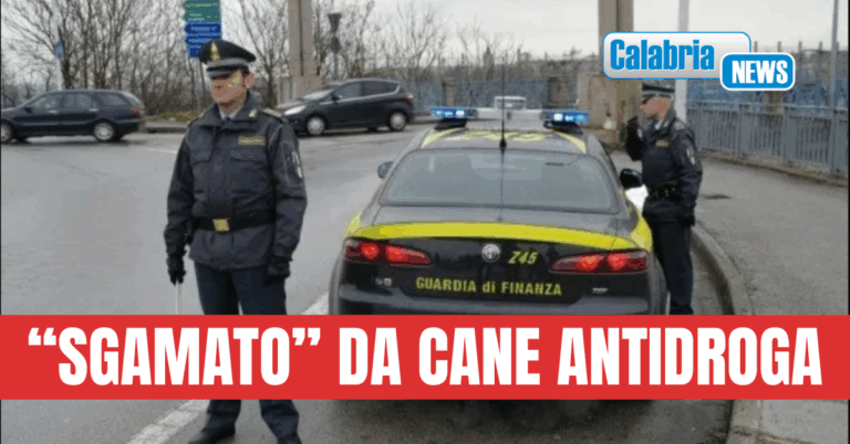 Lamezia, imprenditore 43enne ai domiciliari: in auto con 1,2 Kg di cocaina