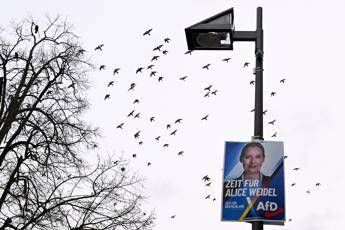 Germania, Afd primo partito: il sondaggio premia l’estrema destra