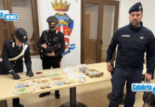 Gioia Tauro, detenzione e spaccio: un arresto. La droga scoperta grazie al fiuto di “Manco”