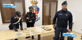 Gioia Tauro, detenzione e spaccio: un arresto. La droga scoperta grazie al fiuto di “Manco”