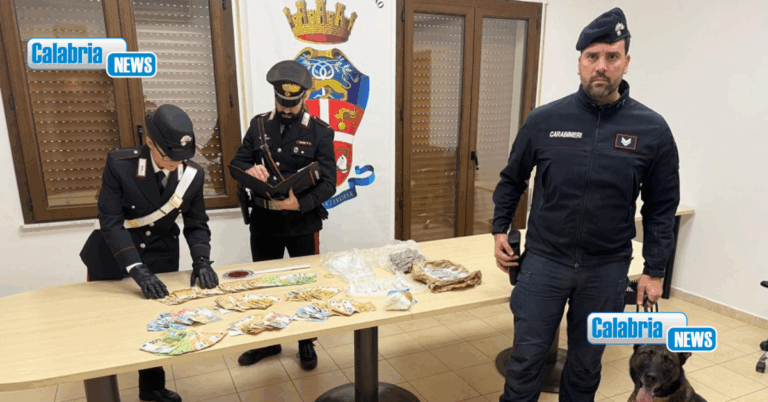 Gioia Tauro, detenzione e spaccio: un arresto. La droga scoperta grazie al fiuto di “Manco”