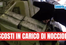 VIDEO-Gioia Tauro, sequestrati nel porto 435 chili di cocaina per un valore di 70 milioni