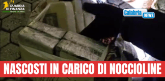 VIDEO-Gioia Tauro, sequestrati nel porto 435 chili di cocaina per un valore di 70 milioni