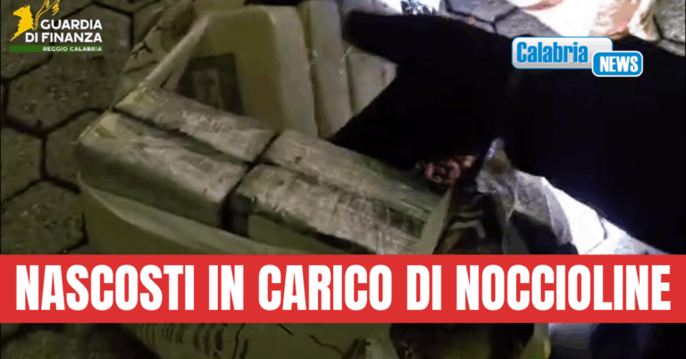 VIDEO-Gioia Tauro, sequestrati nel porto 435 chili di cocaina per un valore di 70 milioni