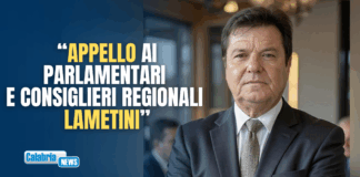 Base Canadair a Crotone, altra occasione scippata a Lamezia…di Francesco Grandinetti*