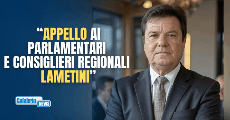 Base Canadair a Crotone, altra occasione scippata a Lamezia…di Francesco Grandinetti*